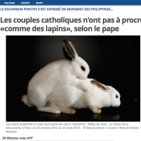 Colère du Pape : « Hé les Cathos, on arrête de faire ça comme des lapins ! » Y a mieux…